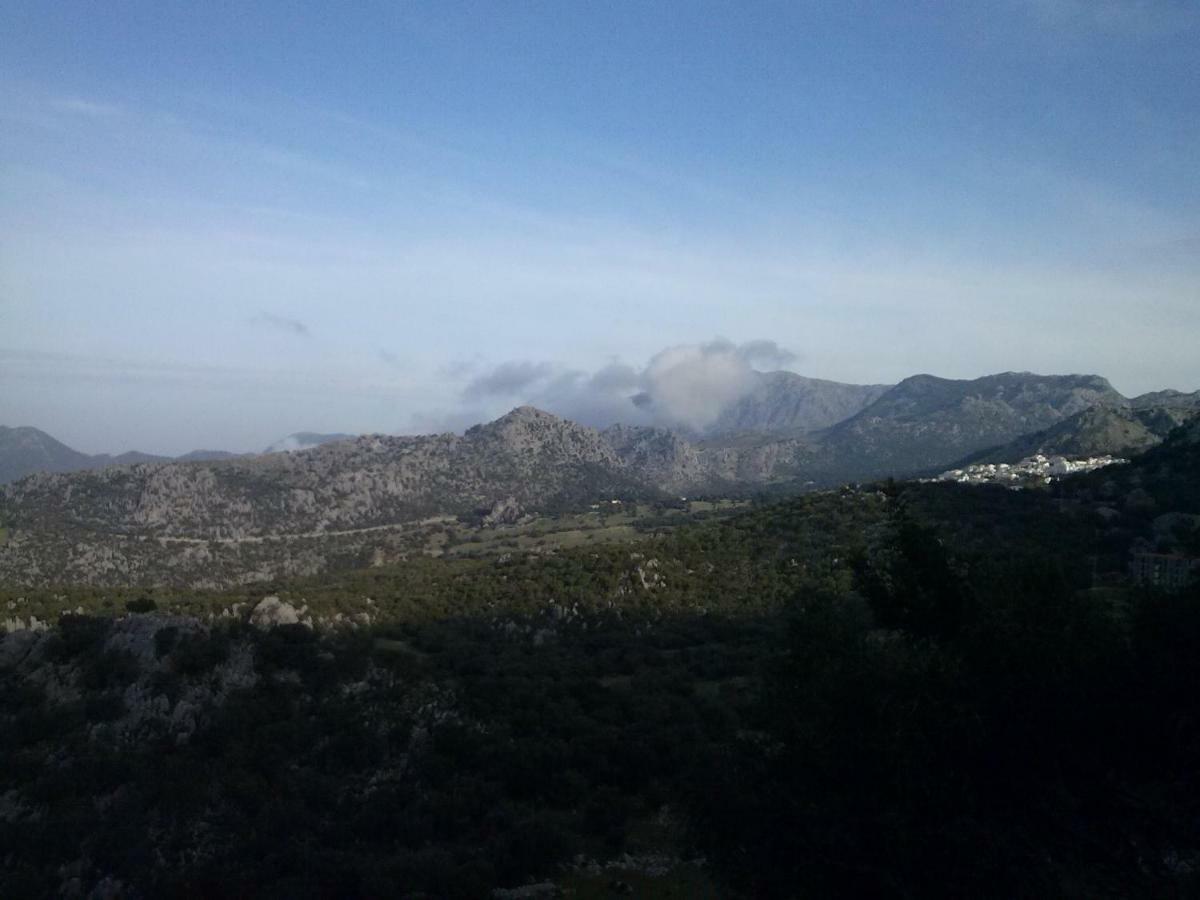 Penzion Navazos Benaocaz Exteriér fotografie